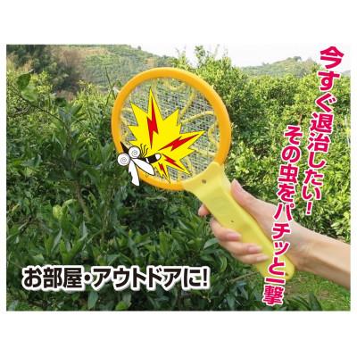 ふるさと納税 海南市 電撃殺虫ラケット”ナイス蚊っち(R)”　三層ネット大・小2本組　蚊取り器　単3アルカリ乾電池4本付き |  | 01