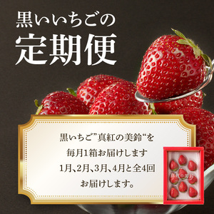 玄海町産いちご「真紅の美鈴」4ヶ月定期便 ／ フルーツ【Z040】