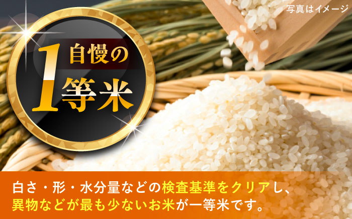 上矢作産 農家自慢のこしひかり（精米）6kg / 米 こめ コメ 白米 精米 こしひかり コシヒカリ / 恵那市 / 梅本勝司 [AUAL001]