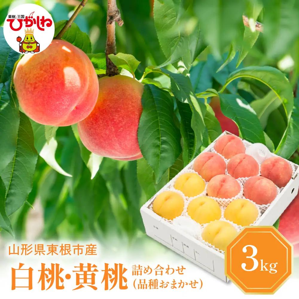 2026年産 白桃 & 黄桃 詰合せ (品種おまかせ) 3kg秀品 桃