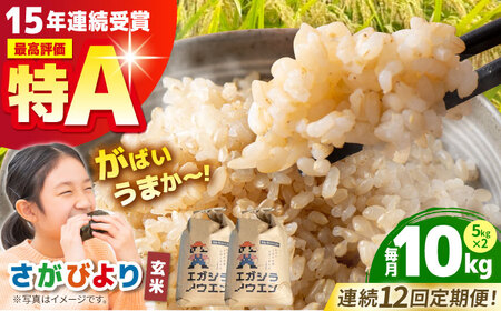 【全12回定期便】がばいうまか エガシライス（さがびより）玄米 10kg（5kg×2袋）【江頭農園】特A 特A評価[HAU008]