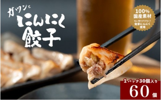 
[№5533-0382]発芽にんにく餃子30個入り2パック 餃子 にんにく にんにくたっぷり 国産にんにく 発芽にんにく 冷凍 臭わない 栄養価抜群 スタミナ 免疫アップ おつまみ おかず 総菜 餃子専門店 ぎょうざ 工場直売 大量 まとめ買い
