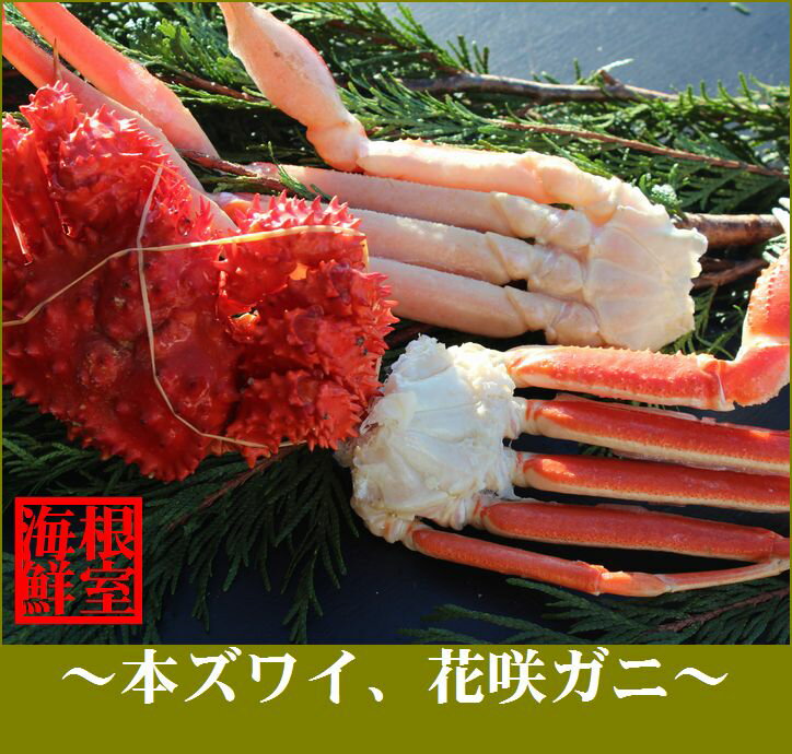 【ふるさと納税】 ズワイガニ 1 〜 2 肩と花咲ガニ 1 〜 2 尾セット 花咲がに 花咲 花咲かに 花咲蟹 かに カニ ズワイ ずわい ずわいがに ズワイ蟹 ずわい蟹 蟹 お取り寄せ グルメ 海鮮 北海道 根室市 ふるさと納税 A-57002