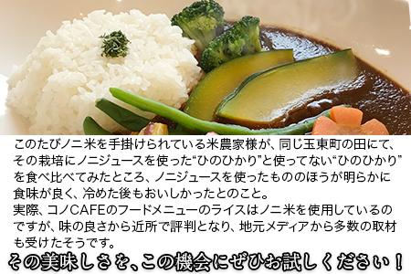 令和5年産  ひのひかり(ノニ米) 約5kg(5kg×1袋) コノCAFE《30日以内に出荷予定(土日祝除く)》