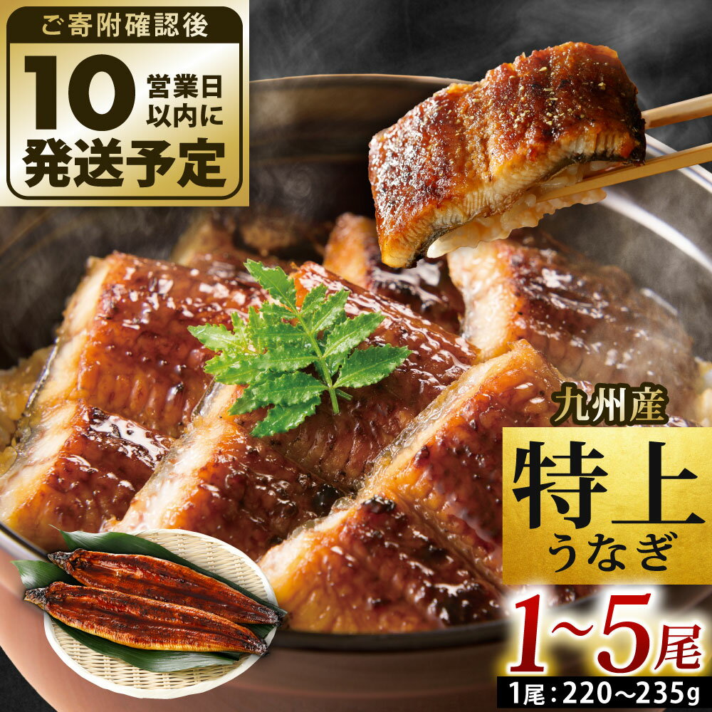 【丑の日／配達日指定可能】九州産 うなぎ 蒲焼 特大 4尾（1尾あたり200〜235g） 合計800g以上 たれ・山椒付き 鰻 蒲焼き 土用の丑の日 夏 冷凍 国産 送料無料