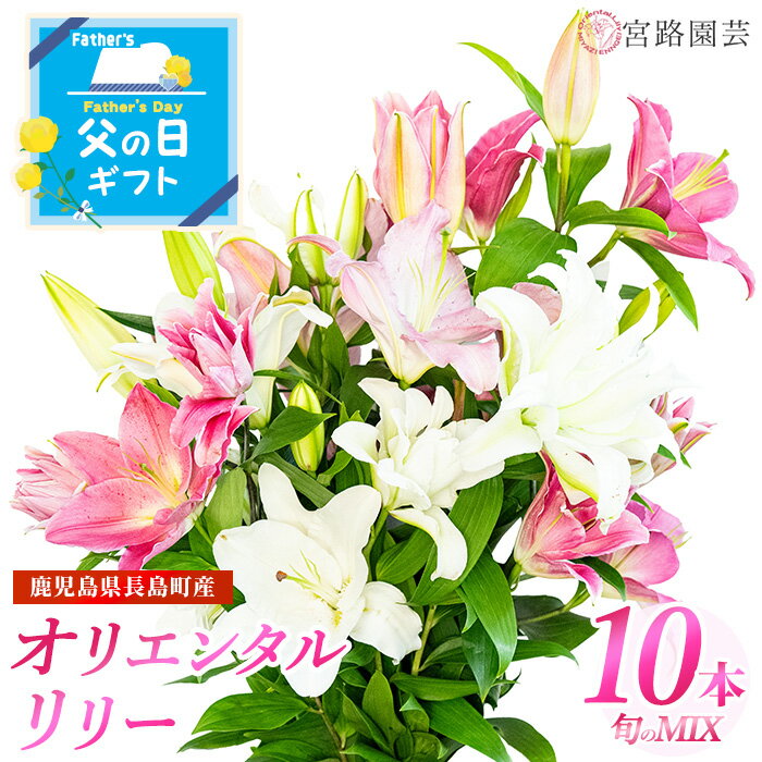 オリエンタルリリー（ユリ）旬のミックス(12本)鹿児島県産 国産 九州 特産品 長島町 ユリ ゆり 百合 花束 誕生日 ギフト 贈答用 花 フラワー フラワーアレンジメント【宮路園芸】