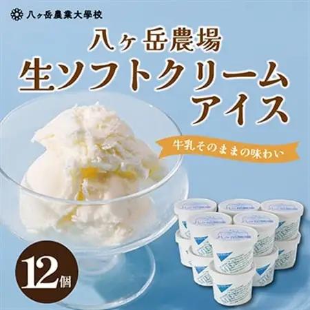 八ヶ岳農場 生ソフトクリームアイス 12個_菓子・スイーツ アイス・ジェラート  _【配送不可地域：離島】【1600425】