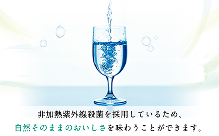 日本名水百選ミネラルウォーター「南阿蘇・白川水源」500ml×24本入1ケース《30日以内に出荷予定(土日祝除く)》熊本県 南阿蘇村 物産館自然庵 水 ミネラルウォーター
