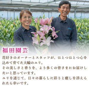  ユリ(オリエンタルリリー)5本 10ヶ月定期便【ユリ】