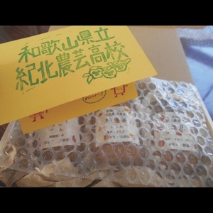 ☆紀北農芸高校生が作った☆おすすめ無添加ジャム３種セット【順次発送】
