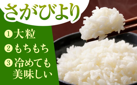 令和7年産 さがびより 白米 3kg（3kg×1袋）特A米 特A評価[HBL087]