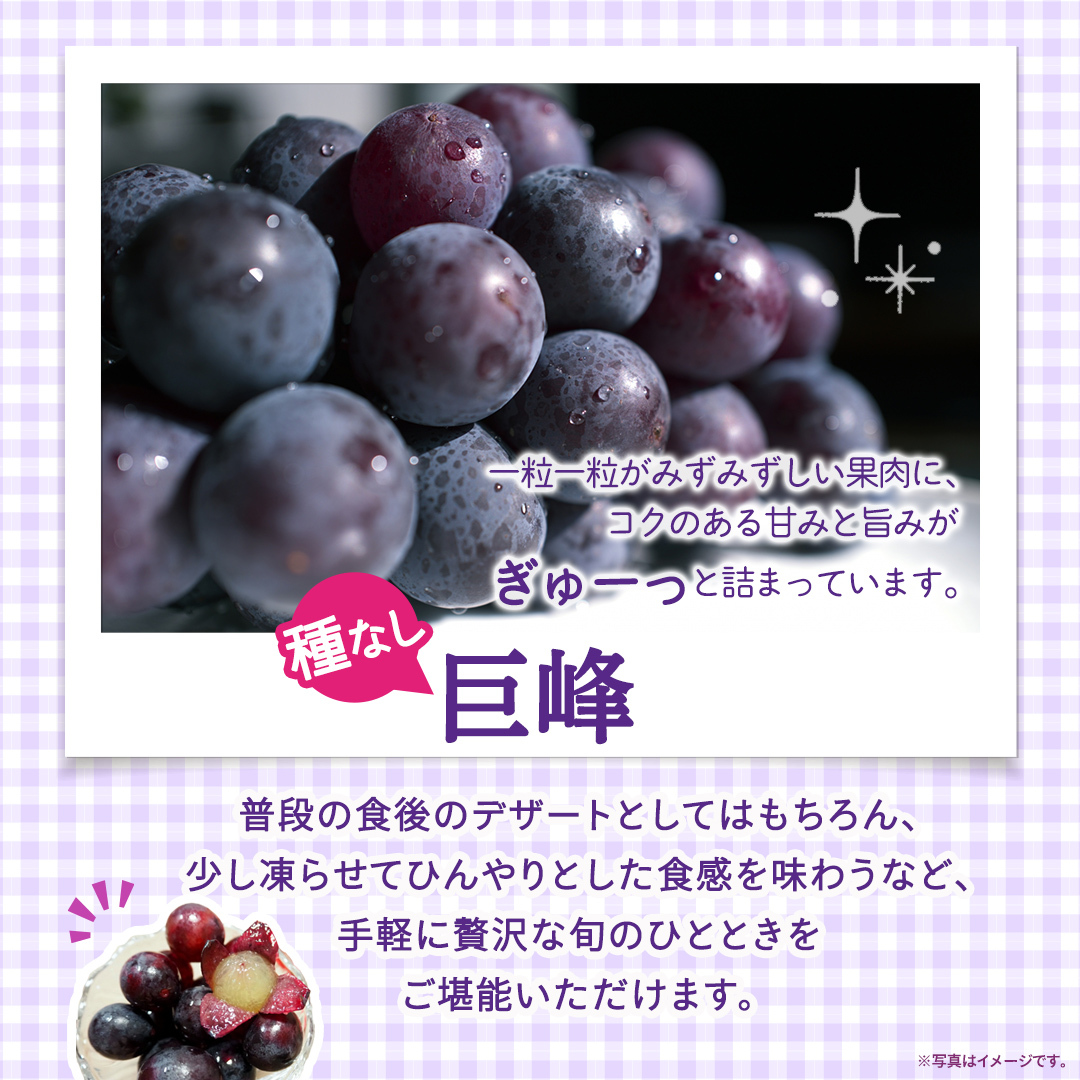 種なし 巨峰 約5kg(約8～12房)【2026年7月より発送開始】（茨城県共通返礼品 [ぶどう]：結城市産） ぶどう 種なし巨峰 フルーツ デザート 果物 食べやすい 旬 [FC113-NT]_イメ