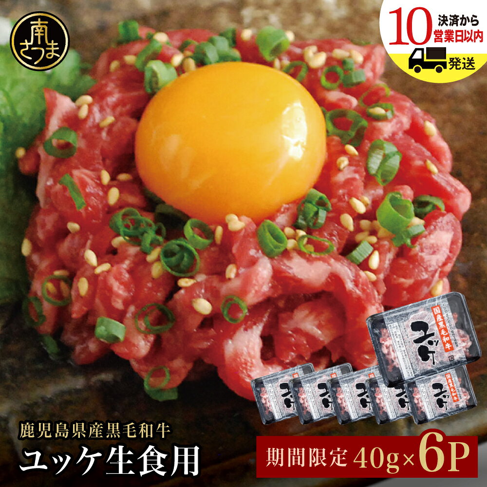 【ふるさと納税】＼期間限定・6Pセット／ 鹿児島県産 黒毛和牛 ユッケ 40g×6P タレ付 ★最短発送★ 生食用 牛肉 肉 お肉 赤身 ユッケ丼 ビール つまみ お取り寄せ 小分け 冷凍 生食認定工場 送料無料 鹿児島産 和牛 牛 国産黒毛和牛 安全 鮮度 カミチク