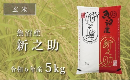 
            令和7年産新米 玄米 中魚沼産「新之助(しんのすけ)」5kg
          