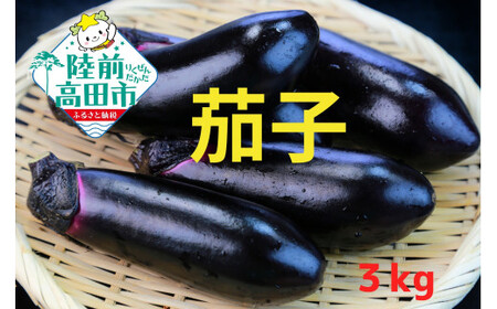 農家直送！ 茄子3kg(18本前後) 黒福 なす 茄子