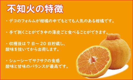 （ご予約開始）ご家庭用 不知火（しらぬい）５kg  B145-003