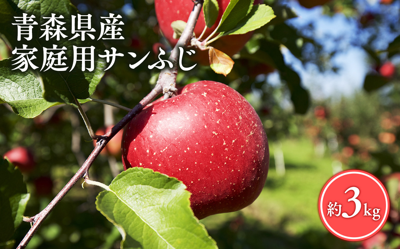 
            ≪選べる配送月≫【訳あり】家庭用 サンふじ3㎏【青森県 平川市 丸勝木村商店】平川市産 青森りんご りんご リンゴ 林檎 ふじ 訳あり 家庭 わけあり お取り寄せ 先行予約 果物 くだもの フルーツ 
          