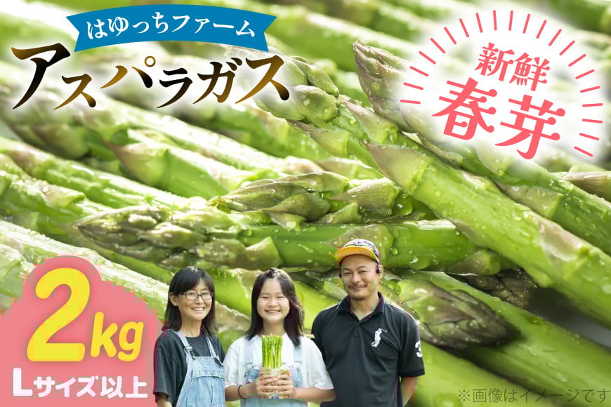 
            アスパラ アスパラガス 春芽アスパラガス 2kg L サイズ以上 [はゆっちFARM 長崎県 東彼杵町 hs42bag360015] アスパラ あすぱら 新鮮 春
          