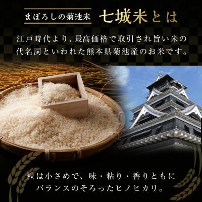 ふるさと納税 菊池市 熊本県菊池産こだわり七城米 10kg(5kg×2袋)(菊池市) |  | 01