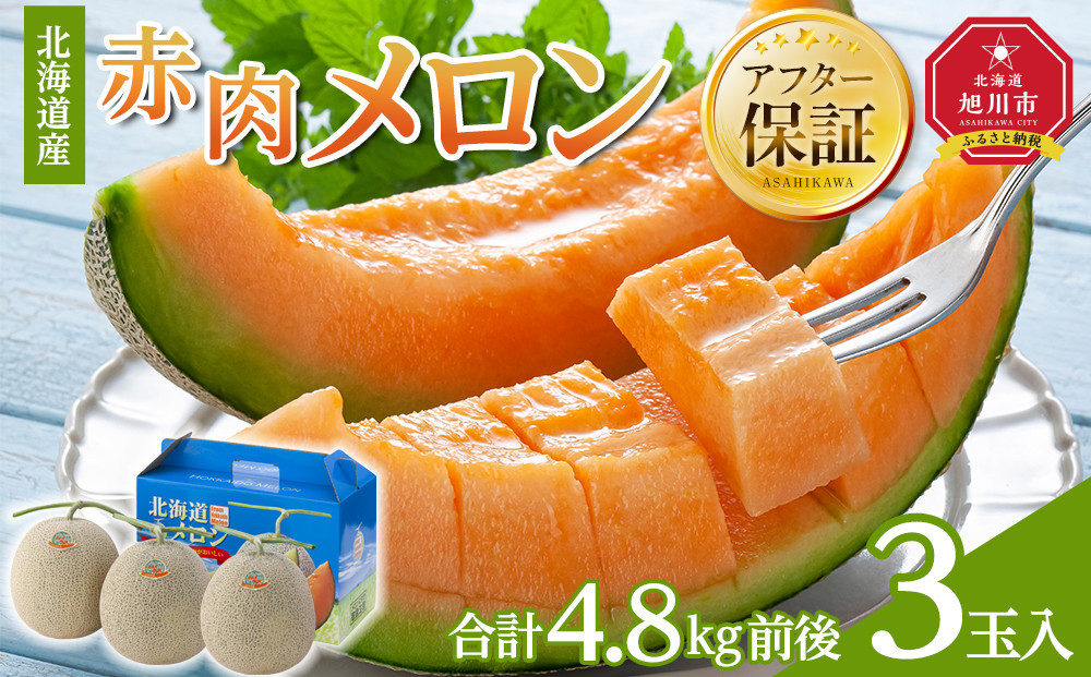 【26年発送先行予約】北海道産赤肉メロン　3玉入り　合計4.8kg前後（2026年7月中旬から発送開始予定）【 果物 くだもの フルーツ メロン 赤肉 赤肉メロン 旬 お取り寄せ 甘い 北海道産 旭川市 北海道 】_01588