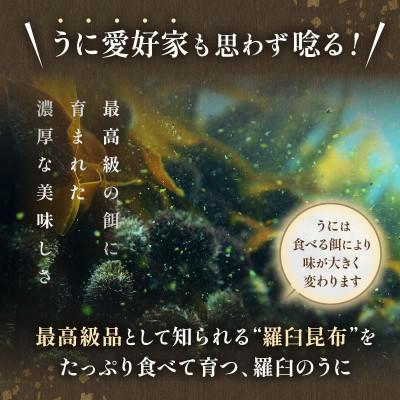 ふるさと納税 羅臼町 〈特上〉折うに 120g×1枚 天然エゾバフンウニ【北海道知床羅臼産】 |  | 02
