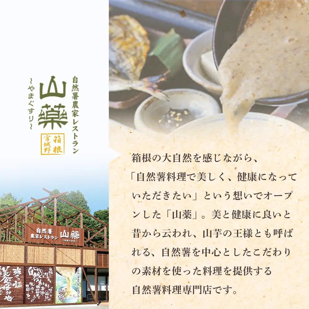 解凍するだけ！毎日の新しい健康習慣に！自然薯味付とろろ100ｇ３０ｐセット【とろろ 極上とろろ 山芋 箱根 お家用 家庭用 国産 セット商品 自然薯 味付とろろ 神奈川県 小田原市 とろろ】