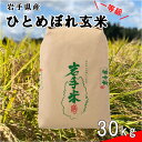 【ふるさと納税】≪令和6年産≫花巻産 ひとめぼれ 一等級 玄米 30kg 岩手県 花巻産 2024年産