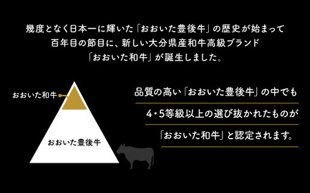 G-14 おおいた和牛焼肉セット（合計1.6kg）