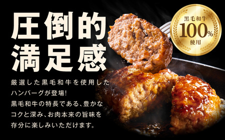 【黒毛牛肉100%】極み ハンバーグ 180g×10P BIGサイズ【ハンバーグ 牛肉 ハンバーグ 黒毛和牛 100%  ハンバーグ 極み ハンバーグ プレミアム ハンバーグ 大型 ハンバーグ BIG