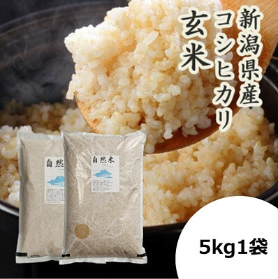 
            【令和7年産新米予約】「米屋のこだわり阿賀野市産」GOZU自然米 玄米５kg 10月下旬より順次発送 1E14026
          