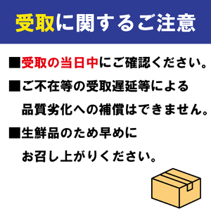 【2026年11月中旬～】【特秀品】小原紅早生 約5kg みかん みかん
