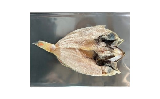 【訳ありでも絶品！】のどぐろ干物７尾セット計800ｇ【浜田港・産地直送】 【025_0427】