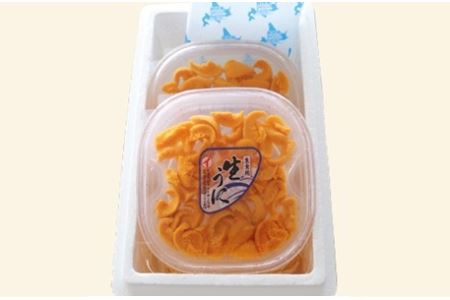 ムラサキウニ塩水パック80～90g×2P[7月上旬以降順次発送] A-53008