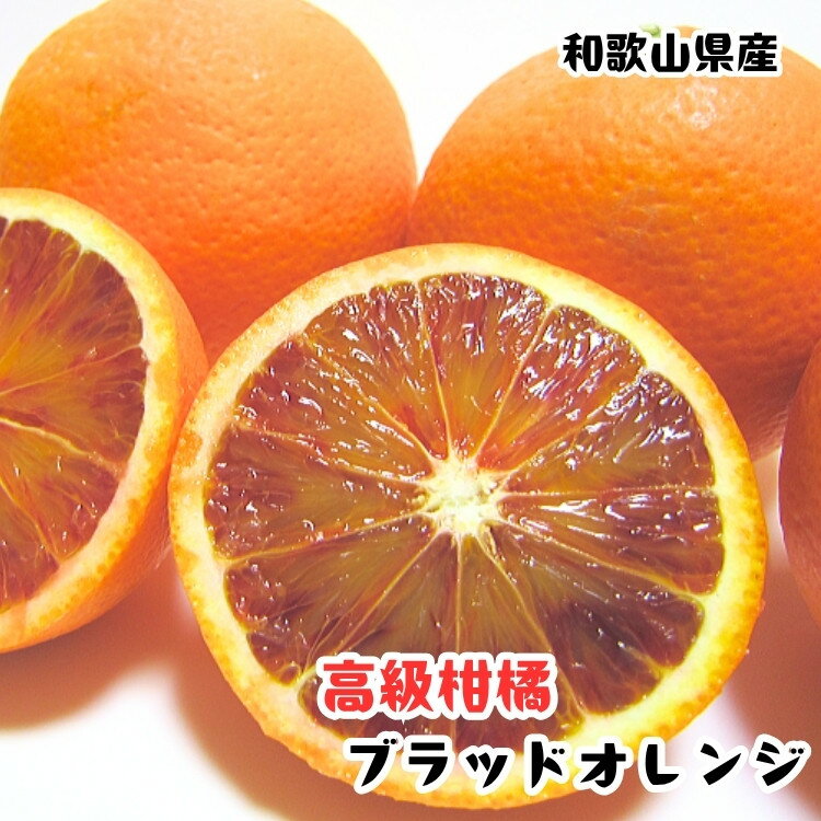 【ふるさと納税】［高級柑橘］和歌山県産ブラッドオレンジ タロッコ 約2kg［MS93］ | フルーツ 果物 くだもの 食品 人気 おすすめ 送料無料