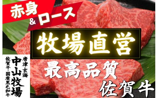 
【佐賀牛】ステーキ食べ比べ [赤身＆ロース] 各2枚入 400g (1枚/100g)
