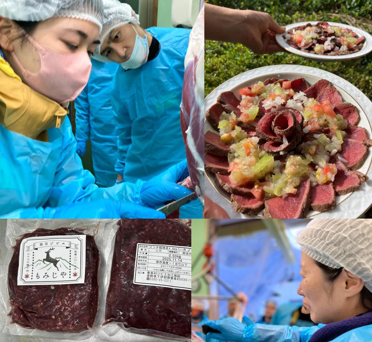 【ジビエ】シカ一頭買い解体体験【自分で解体】