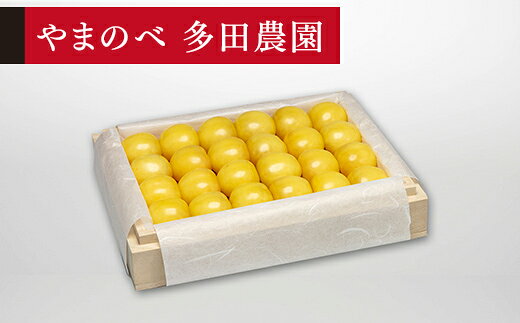 【ふるさと納税】《先行予約》2027年 山形県産 特選月山錦 桐箱詰め 約300g やまのべ多田耕太郎のさくらんぼ ギフト 贈答 贈り物 送料無料 F20A-051