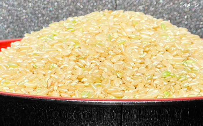 【数量限定】ひのひかり 玄米 30kg 1袋 / 米 こめ コメ げんまい / 南島原市 / ながさき南部生産組合 [SBW027]