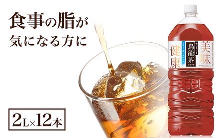 烏龍茶 サントリー 2L 12本 ペットボトル 烏龍茶