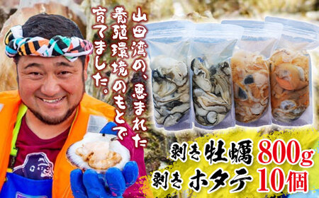 明神丸かき・ほたてきちの 剥き牡蠣800gと 剥きホタテ10個のセット【配送日指定不可】【沖縄・離島配送不可】 三陸山田 海産品 海産物 かき ほたて シーフード YD-505