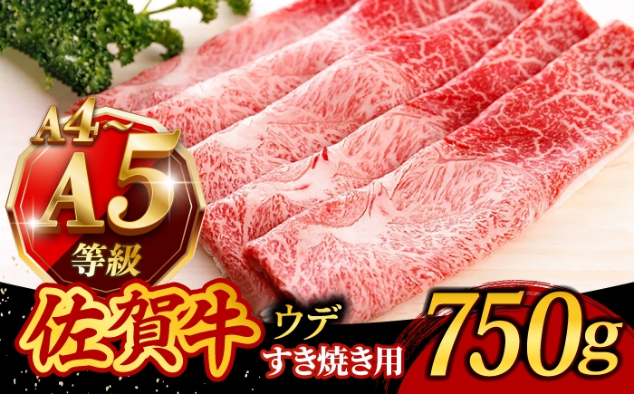 
                  佐賀牛 A4 A5 ウデ すき焼き・しゃぶしゃぶ用 750g /焼肉どすこい[UCC013]牛肉 すき焼き しゃぶしゃぶ すきやき用 すきやき 佐賀牛 すき焼き 佐賀県 武雄市 牛肉 肉 赤身 すき焼き うで スライス 佐賀牛 すき焼き 佐賀牛肉 すきやき 肉 ウデ うで 和牛 牛 スライス すき焼き肉 グルメ ウデスライス 高級肉 赤身 国産牛 佐賀牛 すきやき お肉 ブランド牛 
                