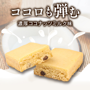 ブルボン スローバー 濃厚ココナッツミルク 計27本 ｜9本 3箱セット bourbon ダイエット 朝食 フィットネス 健康 おやつ お菓子 菓子  防災 非常食 登山 携行食 行動食 レーション 