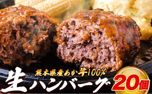 熊本県産あか牛100%生ハンバーグ 140g×20個 合計2800g 《30日以内に出荷予定(土日祝除く)》熊本県産あか牛 冷凍