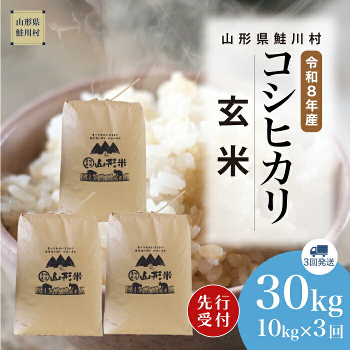 【ふるさと納税】＜令和8年産米先行受付＞ 鮭川村 コシヒカリ 【玄米】30kg （10kg×1ヶ月間隔で3回お届け）＜配送時期選べます＞