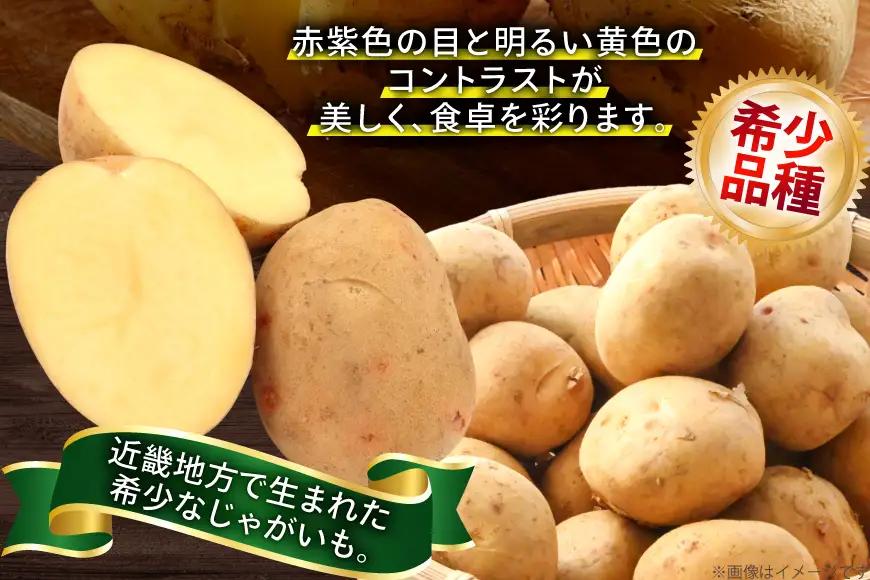 じゃがいも はりまる 1kg 【期間限定発送】[SSSファーム 兵庫県 三田市 3d28bed520003]