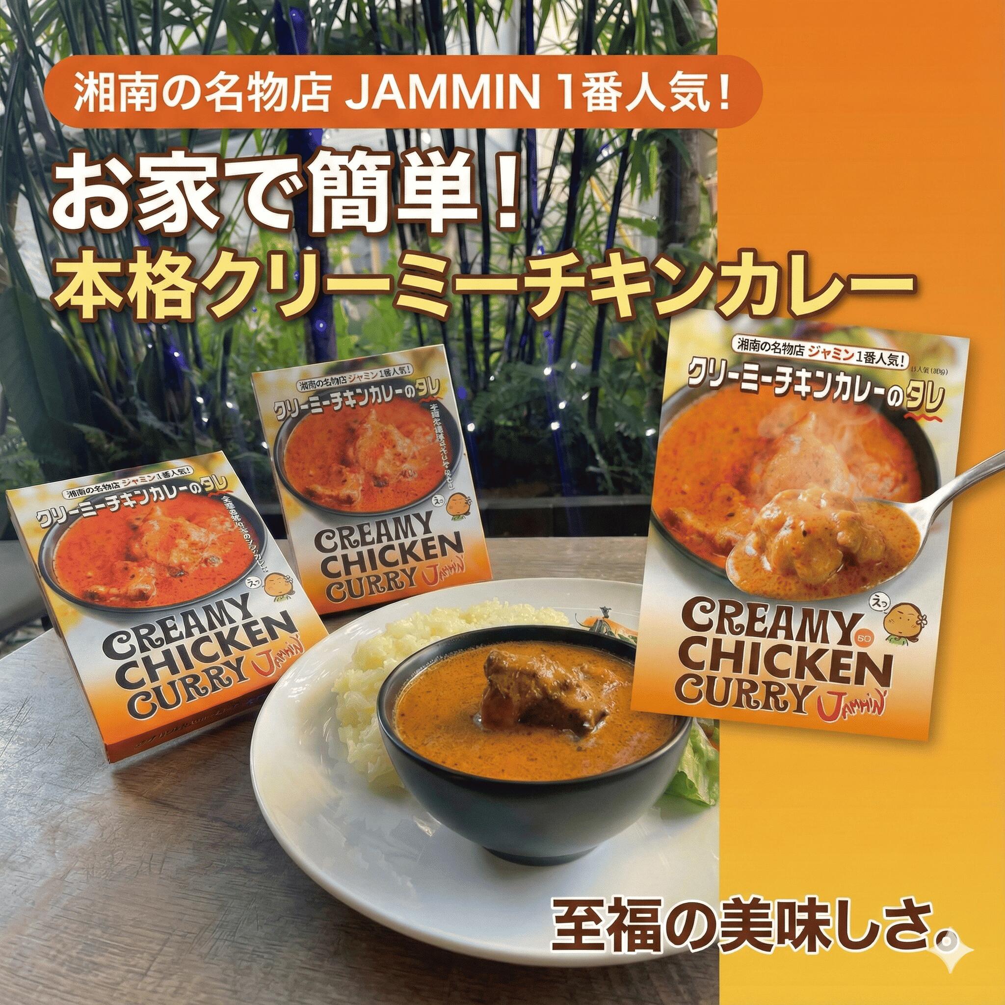 【ふるさと納税】 レトルトカレー ジャミン JAMMIN 藤沢 名店 バターチキンカレー カレー かれー スパイスカレー 藤沢名店 料理 自炊 人気店 人気 ロケ地 テラスハウス 秘伝 ギフト プレゼント 人気メニュー 時短 美味しい チキンカレーのタレ 関東 首都圏 神奈川 湘南