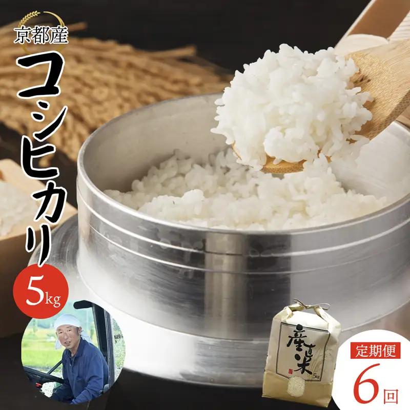 【定期便６回】 【令和7年度産】 コシヒカリ 5kg×6回 合計30kg