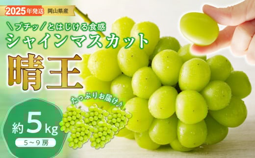 【2025年発送分 先行受付スタート】岡山県産シャインマスカット「晴王」　秀品　大房　（約5kg・5～9房程度）（令和７年8月中旬以降発送）【 シャインマスカット 晴王 フルーツ 果物 葡萄 ぶどう 岡山県産 秀品 大房 種無し 高糖度 hzS-M 】