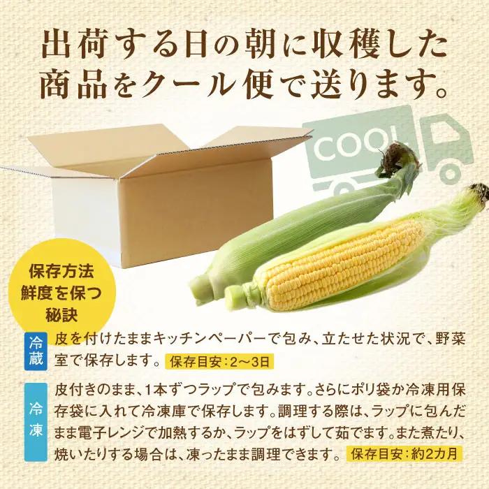 【北海道恵庭市産】朝どりスイートコーン×20本 北海道産 とうもろこし ふるさと納税 北海道 恵庭市【31000103】
