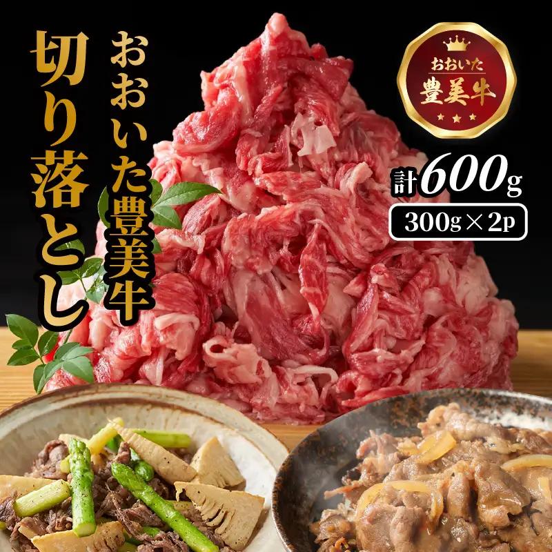 おおいた豊美牛切り落とし 600g (300g×2P)和牛 切落し 国産 和牛 大分県産 和牛_2264R